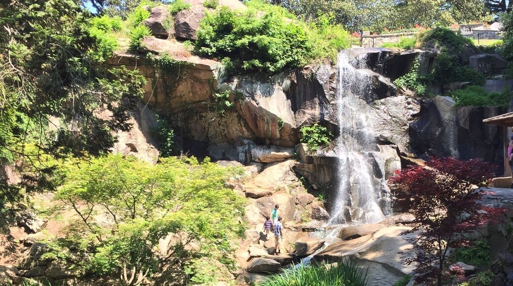 I wasn't kidding when I said this garden was big. This was at least one of three waterfalls.