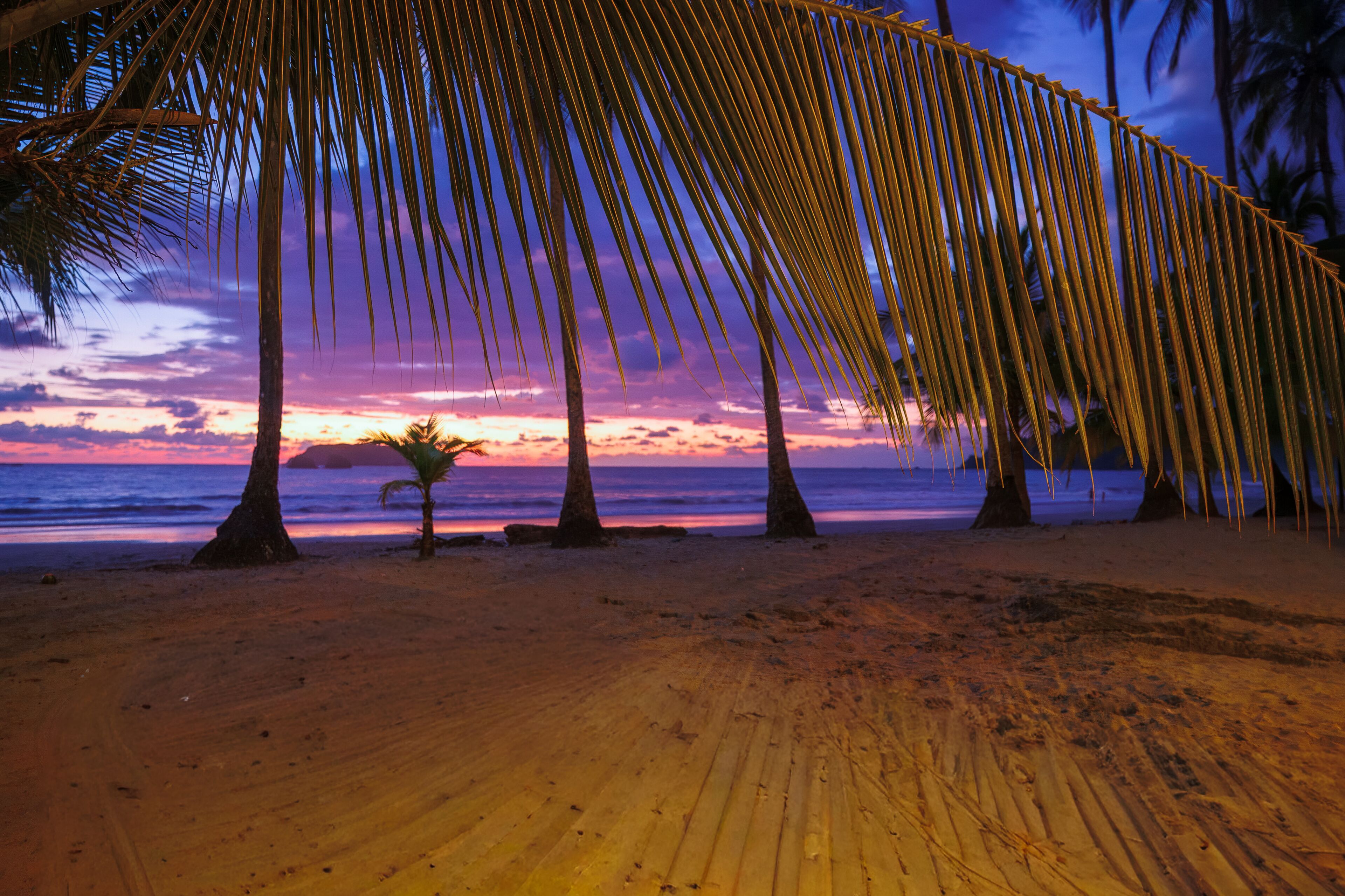 Ein Strand mit Palmen und einem Sonnenuntergang über dem Ozean.