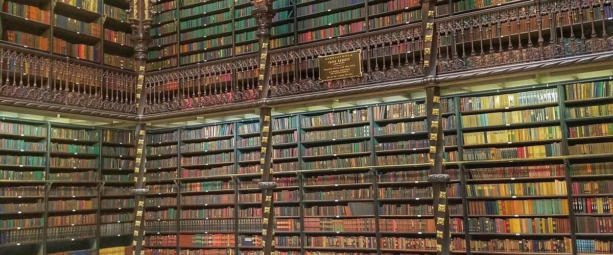 When it rains in Rio, go to the library 📚