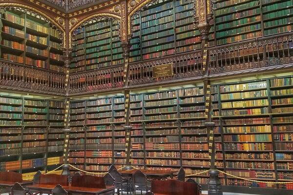 When it rains in Rio, go to the library đ