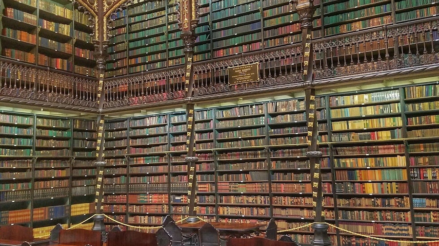 When it rains in Rio, go to the library 📚