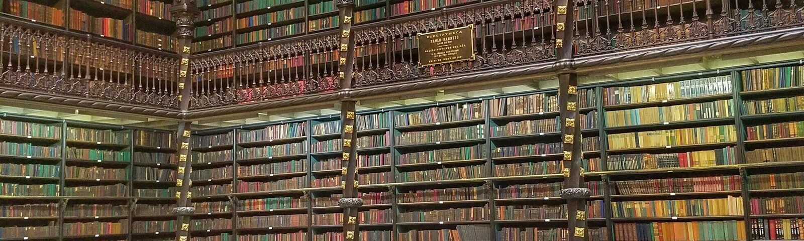 When it rains in Rio, go to the library 📚