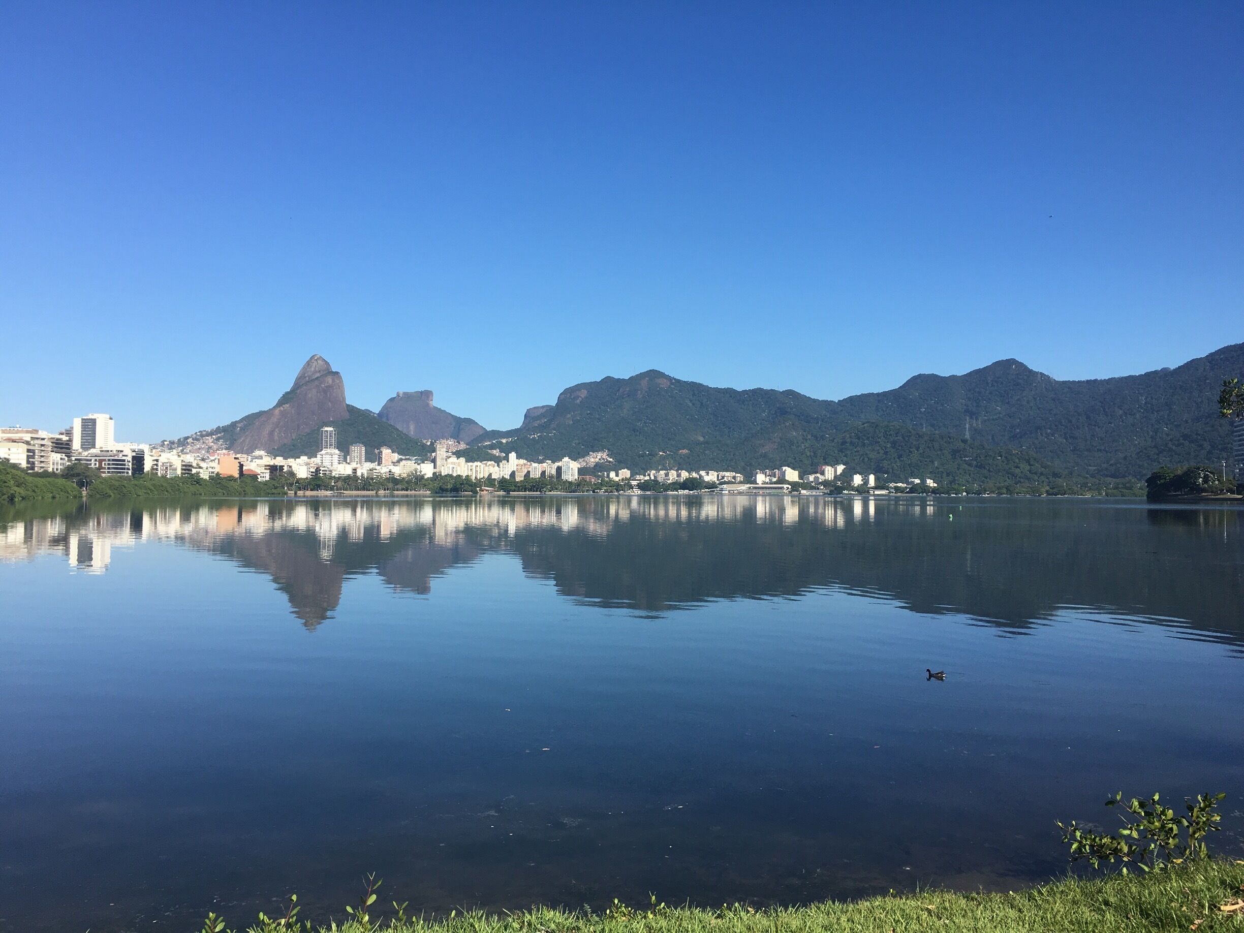 #lagoa in middle of #RioDeJaneiro #Blue
