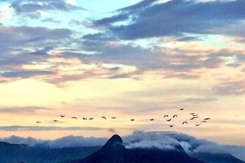A flock of birds flying over a mountain range at sunset.