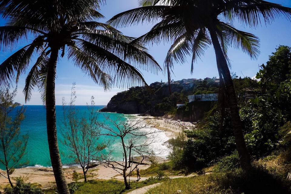 A coastal landscape with a beach, palm trees, and a cliff with buildings.