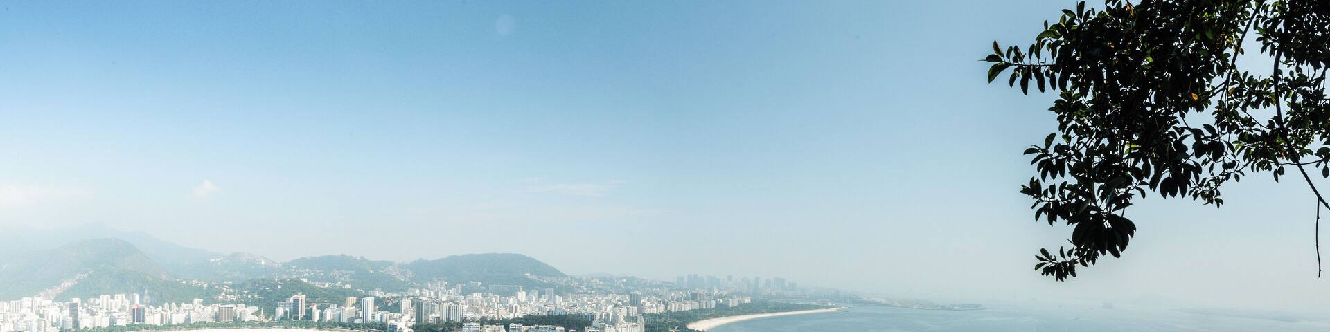 The view from the top! Great spot to look out into the concrete jungle, had an amazing cocktail up there watching the cheeky marmoset moneys run along the railings.