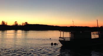 Restinga do Marambaia: what a place...