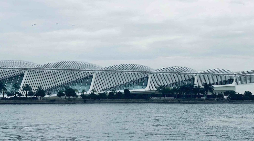 The Museum of Tomorrow is a science museum in the city of Rio de Janeiro, Brazil. Here you are invited to examine the past, understand today's global trends and envision possible scenarios for the next 50 years through immersive audiovisual environments, interactive installations and games available to public in Portuguese, English and Spanish.