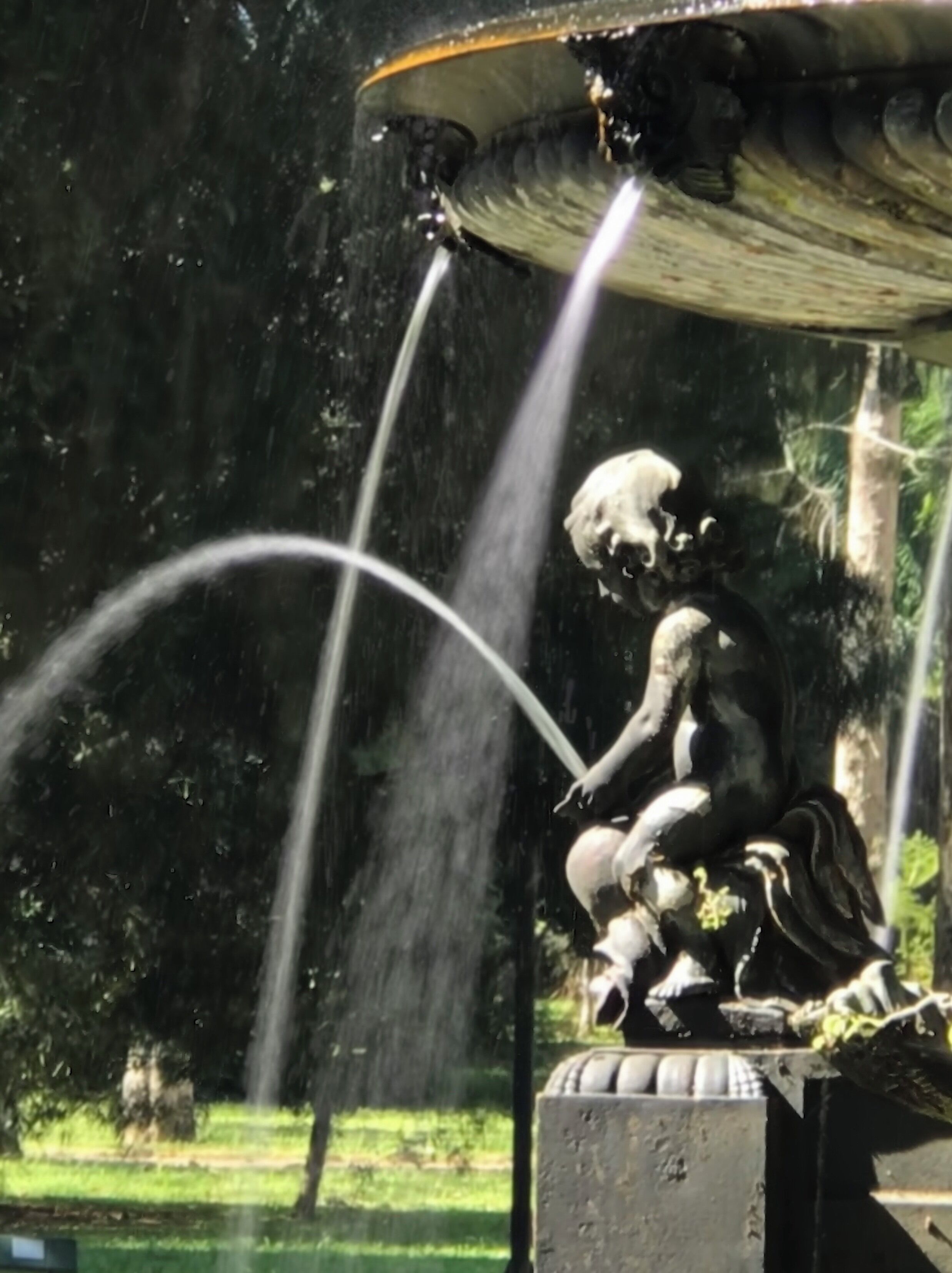 A little freshness in the heat of the city.