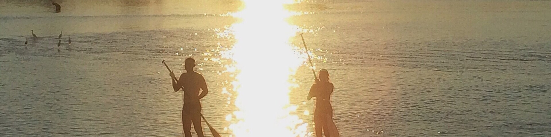 #GoldenHour at Reserva Biológica de Guaratiba - Restinga da Marambaia - Barra de Guaratiba - Rio de Janeiro #SUPRIO #casadoremo