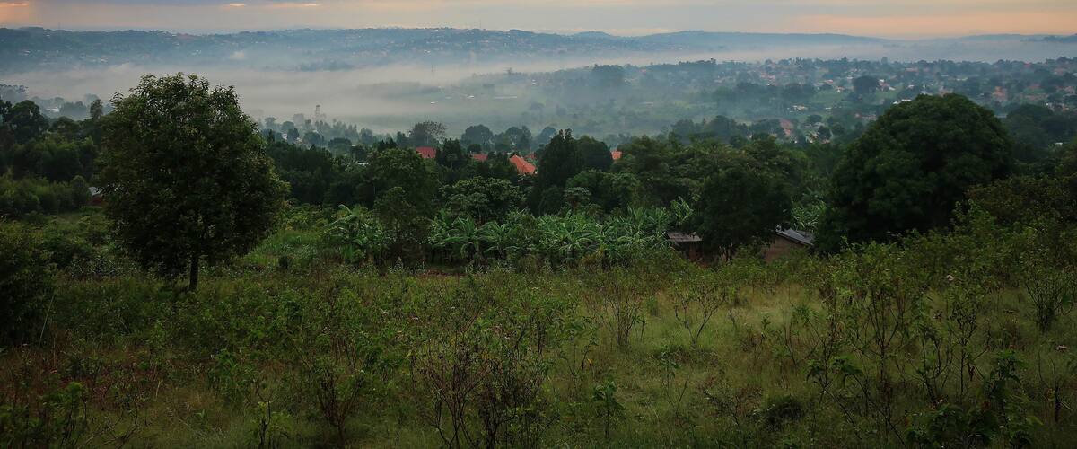 Masaka rural area view by early summer morning, Uganda