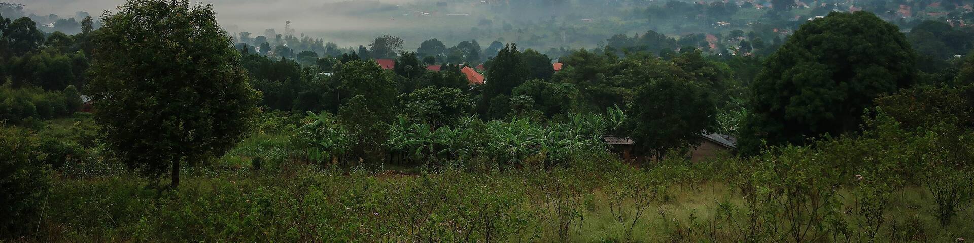 Masaka rural area view by early summer morning, Uganda