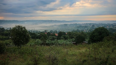 Masaka rural area view by early summer morning, Uganda