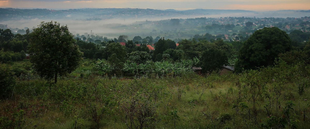 A misty landscape with scattered trees and houses in the distance.