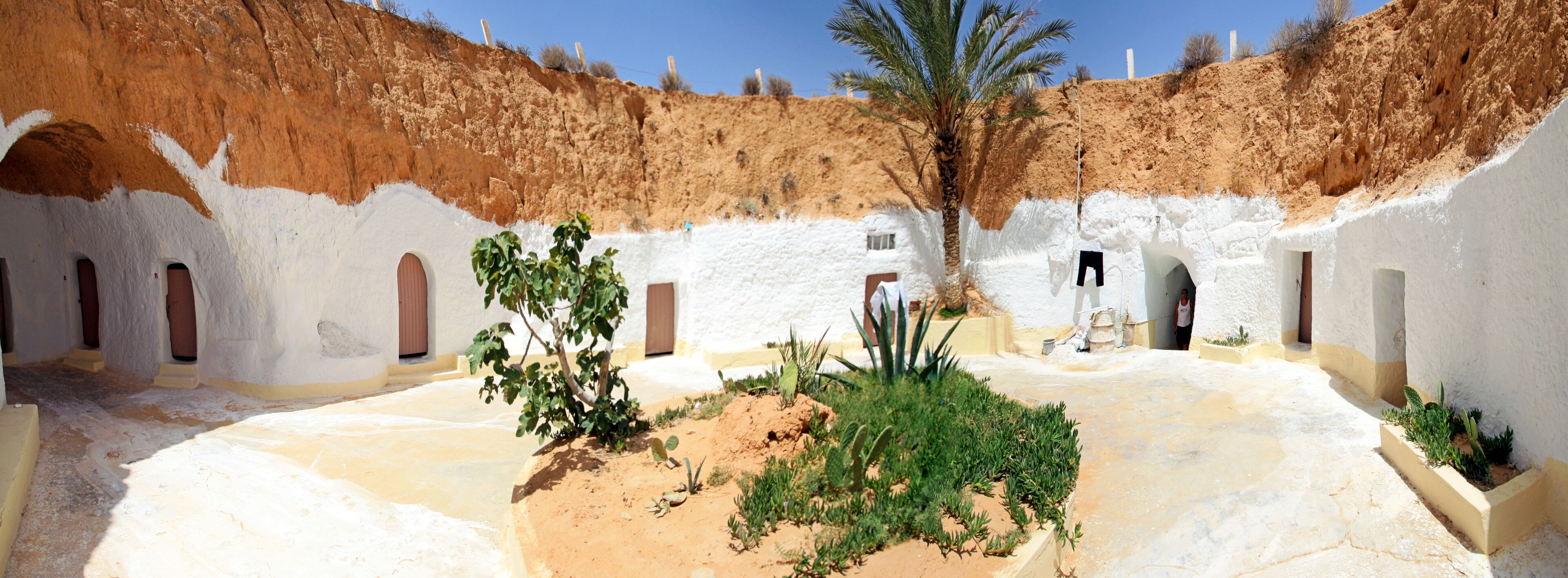 A white-walled courtyard with arched doorways, a palm tree, and cacti.