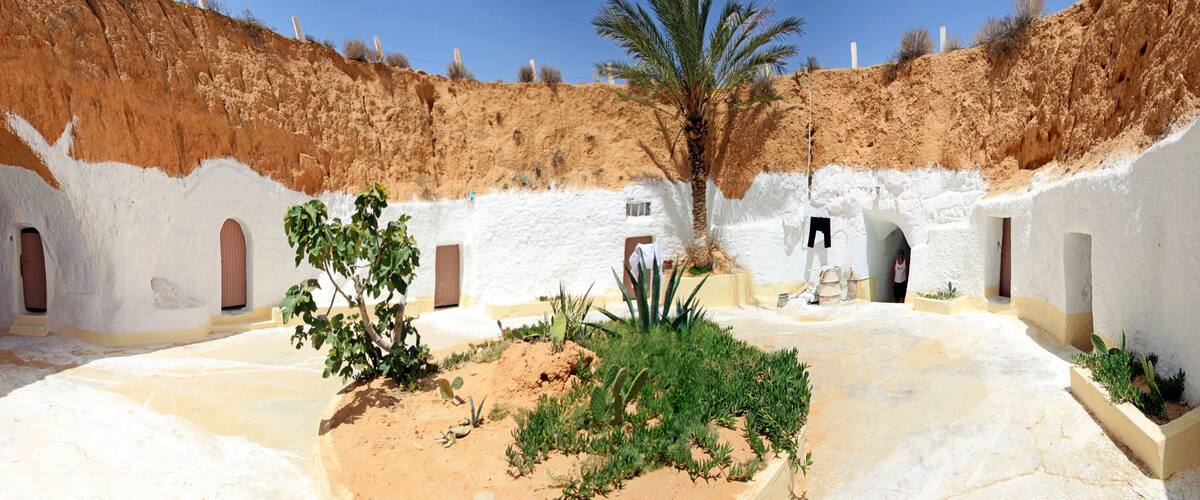 A white-walled courtyard with arched doorways, a palm tree, and cacti.
