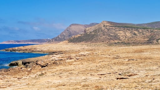 ์ ํ์ฐ์๋ฆฌ์