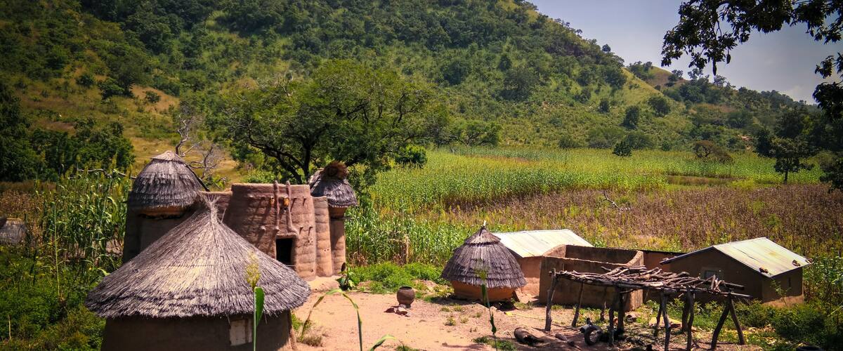 Traditional mud houses with thatched roofs, a cornfield, and a forested hillside in the background.