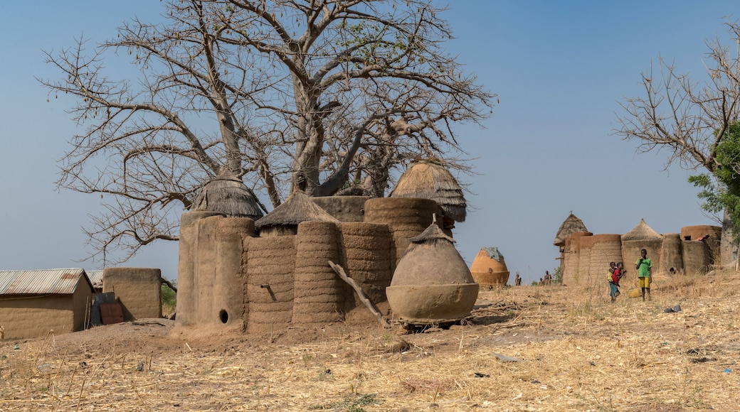 Earth tower house, called takienta, of Batammariba people in Koutammakou region, La Kara, Togo, West Africa