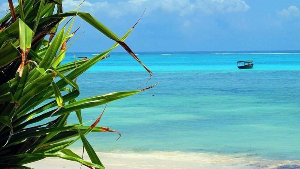 Pingwe area and Michamvui road are on a little peninsula on the east of the island of Unguja (Zanzibar actually is the name of the archipaelago).
If you are looking for realx, peace and great resorts with a very light entertainment, you have found the perfect place