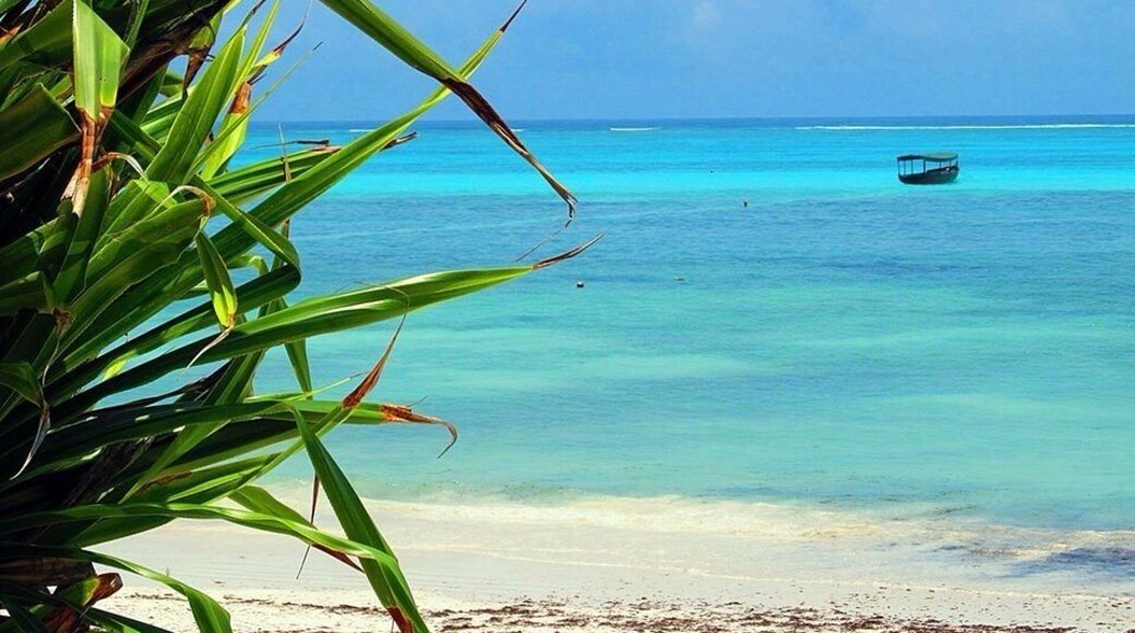 Pingwe area and Michamvui road are on a little peninsula on the east of the island of Unguja (Zanzibar actually is the name of the archipaelago).
If you are looking for realx, peace and great resorts with a very light entertainment, you have found the perfect place