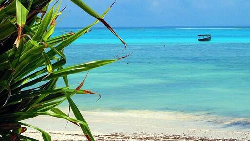 Pingwe area and Michamvui road are on a little peninsula on the east of the island of Unguja (Zanzibar actually is the name of the archipaelago).
If you are looking for realx, peace and great resorts with a very light entertainment, you have found the perfect place