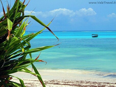Ein Strand mit klarem türkisblauem Wasser, ein Boot in der Ferne und üppiges Grün im Vordergrund.