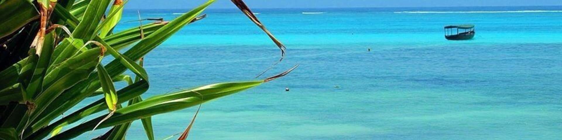 Pingwe area and Michamvui road are on a little peninsula on the east of the island of Unguja (Zanzibar actually is the name of the archipaelago).
If you are looking for realx, peace and great resorts with a very light entertainment, you have found the perfect place