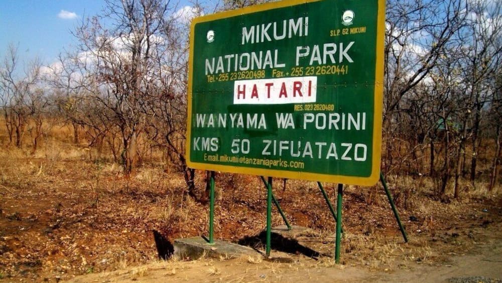 Everyone goes to the Serengeti, but I love Mikumi.
It has everything you want from a Safari Park đ