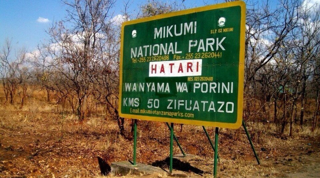 Everyone goes to the Serengeti, but I love Mikumi.
It has everything you want from a Safari Park 🐘