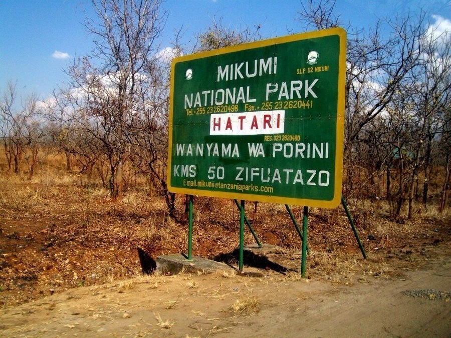 Everyone goes to the Serengeti, but I love Mikumi.
It has everything you want from a Safari Park 🐘