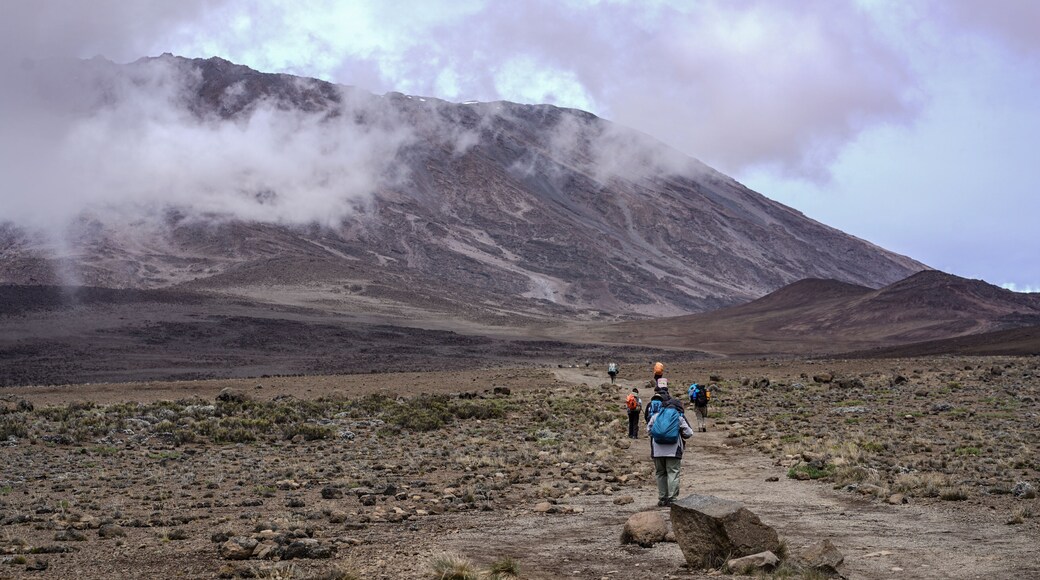 Group of Hikers Trekking Kilimanjaro Mountain, Kilimanjaro National Park, Tanzania