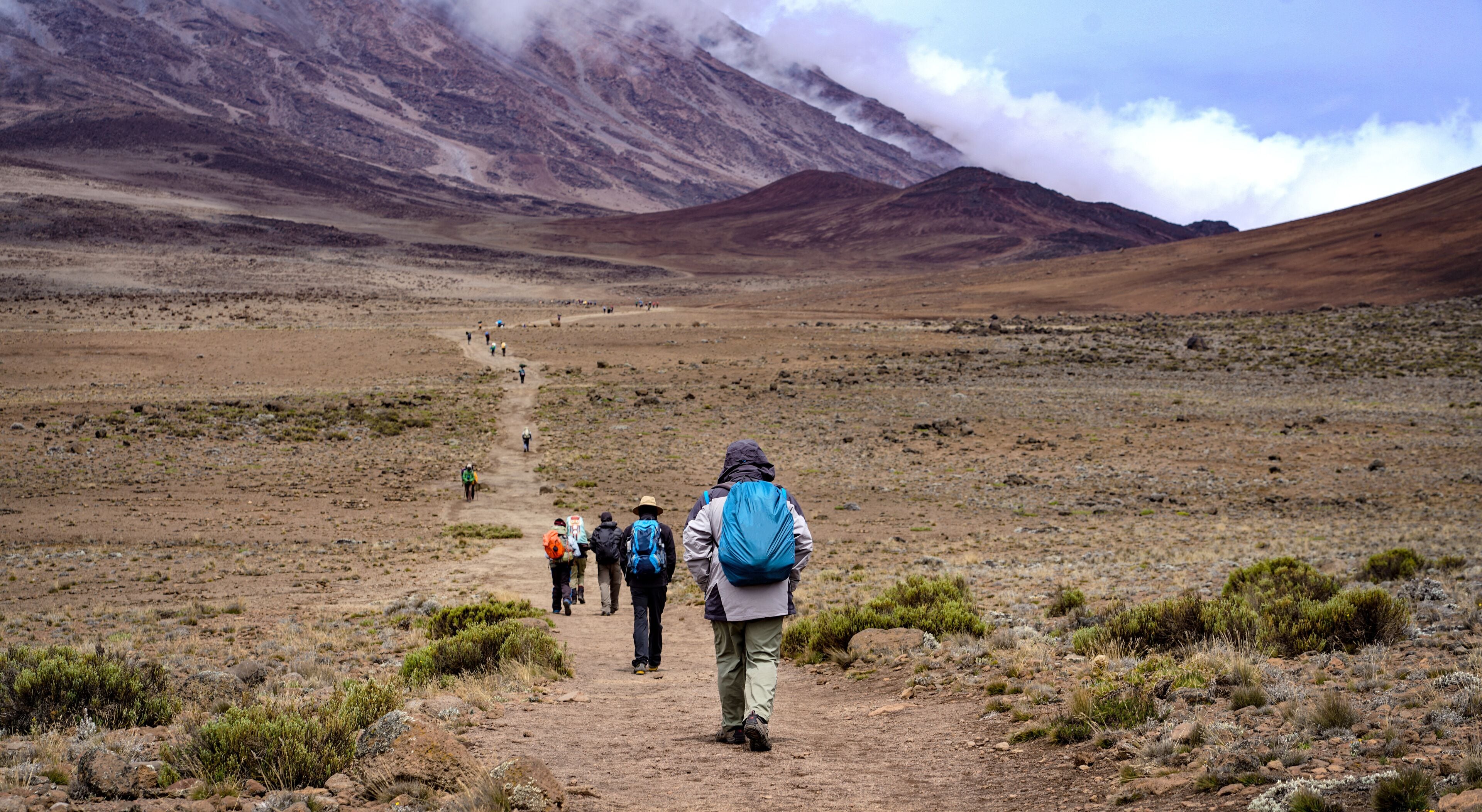Group of Hikers Trekking Kilimanjaro Mountain, Kilimanjaro National Park, Tanzania
