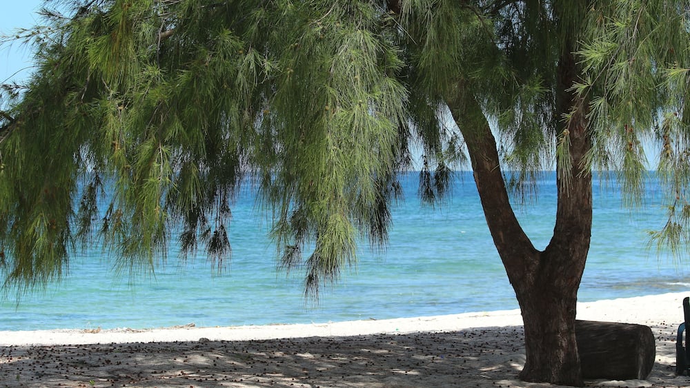 Island of Mbudya in Tanzania / Île de Mbudya en Tanzanie
