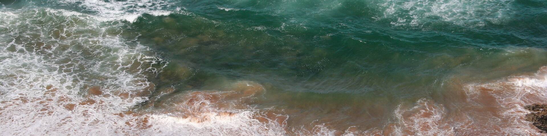 Aerial view of a wild beach in South Africa. Plan view. Drone. Concept of holiday, beach, ocean, nature. Calming rhythms.