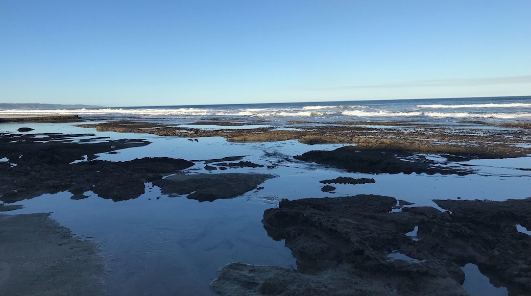 Rock pools at Reebok beach. #BVSBlue #LifeatExpedia