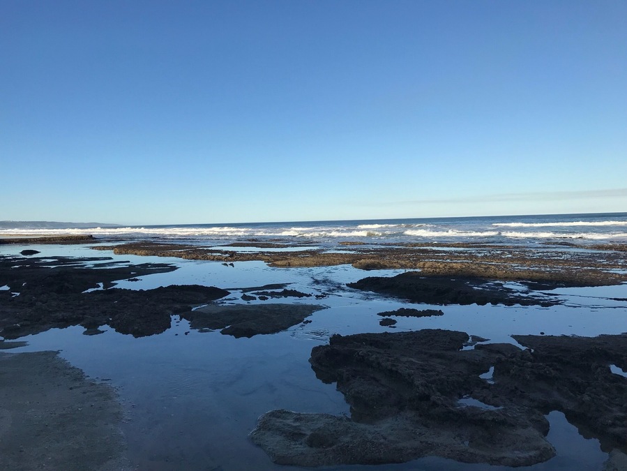 Rock pools at Reebok beach. #BVSBlue #LifeatExpedia