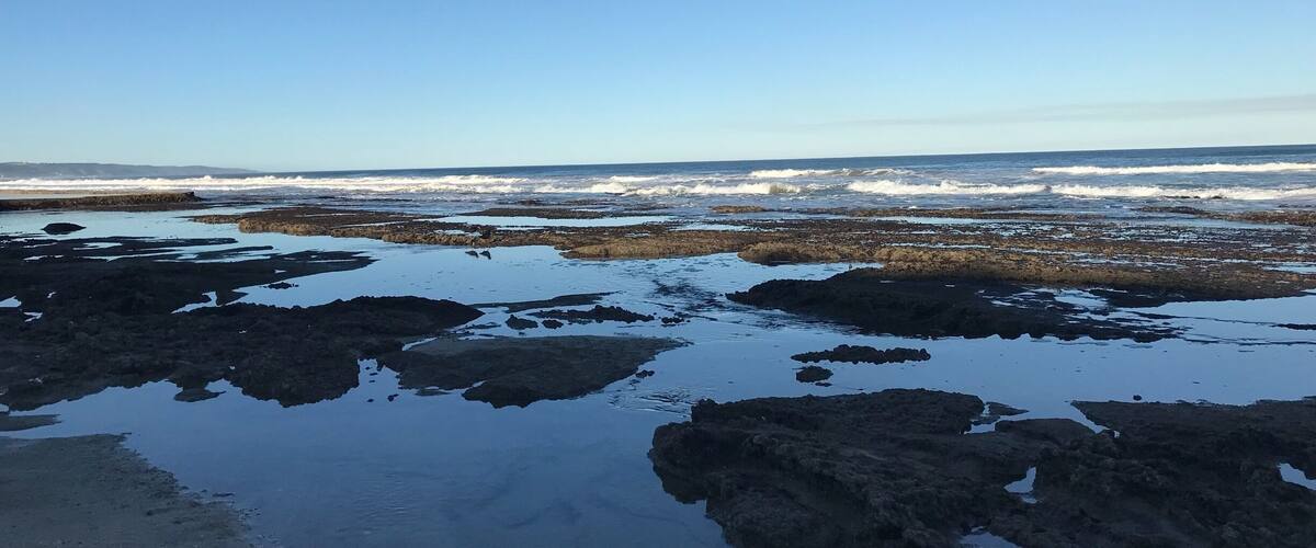 A rocky shoreline with patches of snow and calm water reflecting the sky.