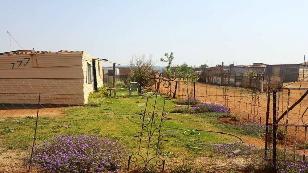 Un quartier résidentiel avec un grand immeuble portant le numéro « 777 », un jardin avec des fleurs violettes et une clôture en métal.
