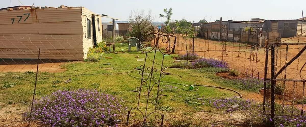 A residential area with a large building marked '777', a garden with purple flowers, and a metal fence.
