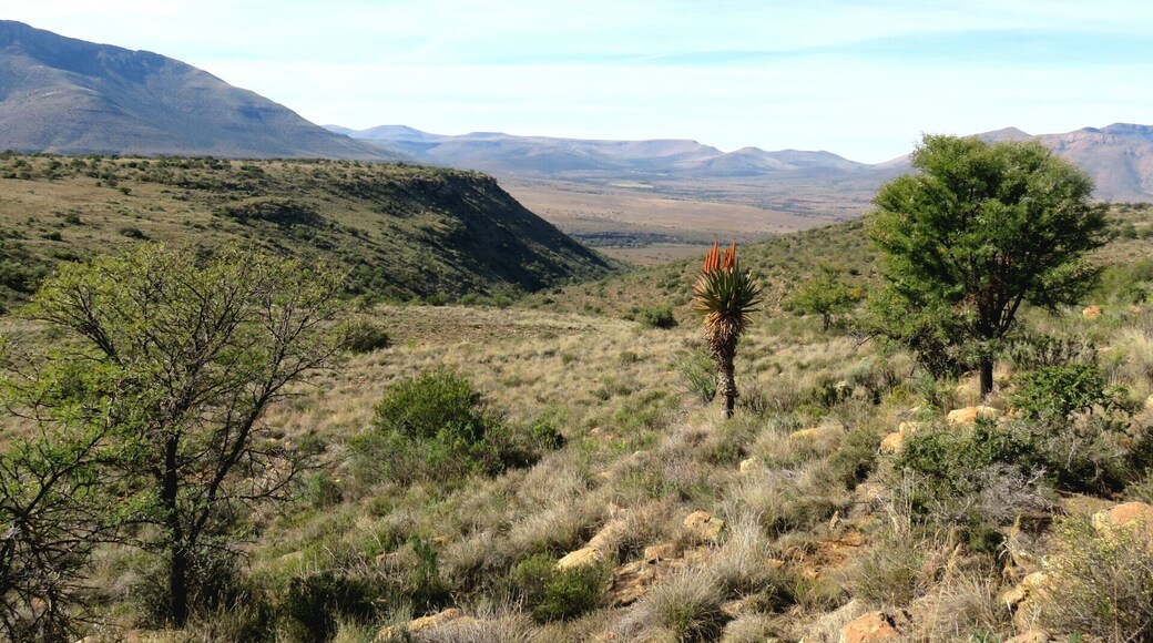 Farm close to Somerset east