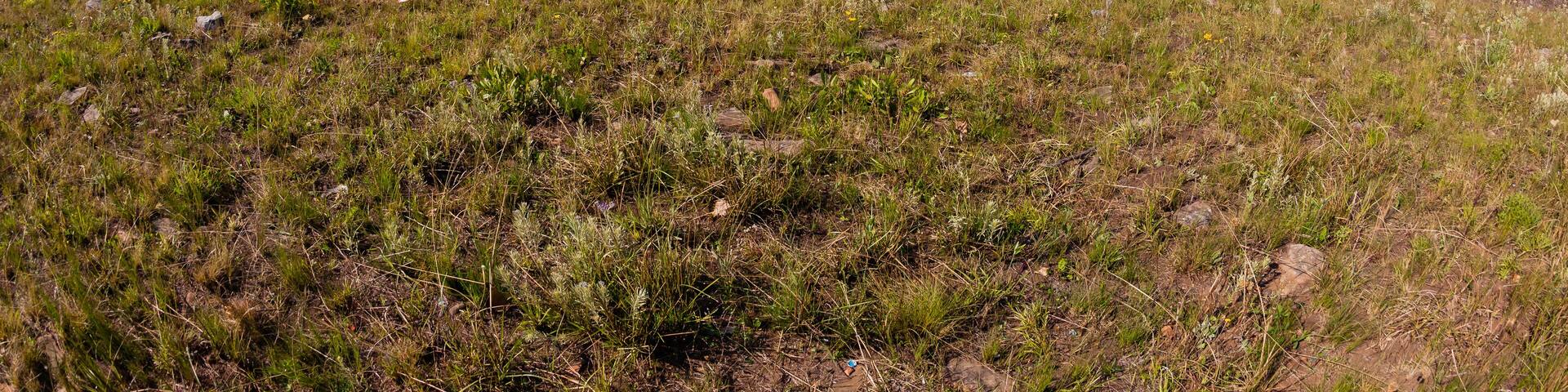N2 Highway Toll Road Overlooking Landscape