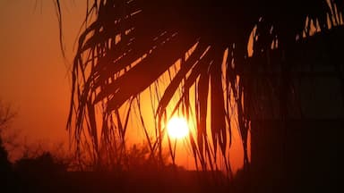 Sunrise in South Africa