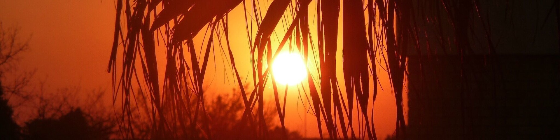 Sunrise in South Africa