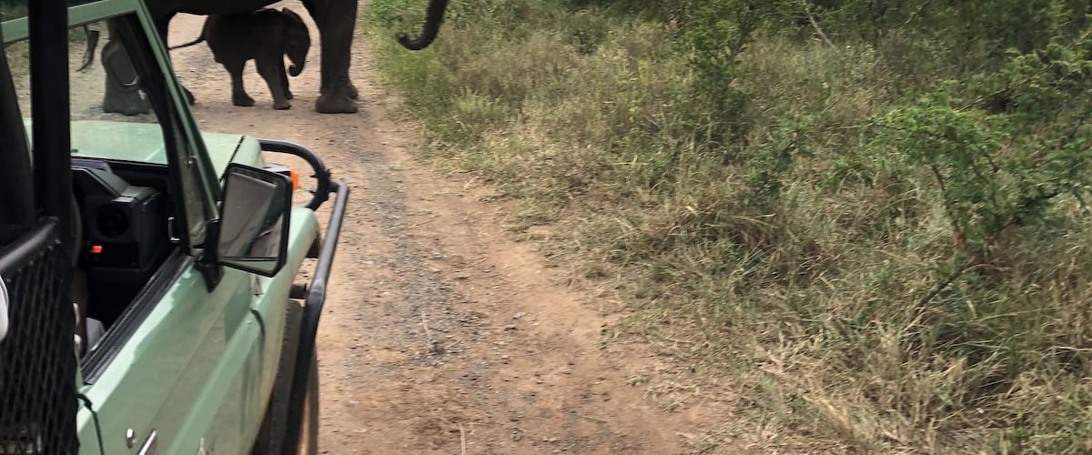 A green safari vehicle on a dirt road with an adult elephant and a baby elephant walking beside it.