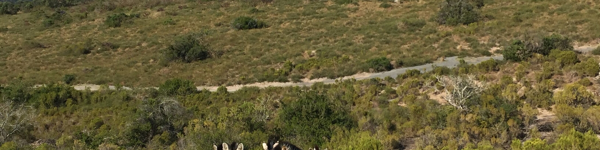 Private Game Reserve 350 ha with wild animal living behind a fence. 😓 Nice for half day trip and to see giraffe, zebra, wildebeest, kudu, eland, blesbuck, impala, nyala, fallow deer, waterbuck, duiker, bushbuck and ostrich. To see real nature its better to visit a national park.