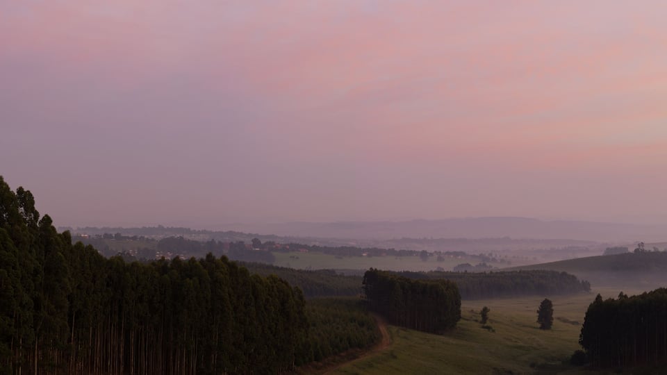 A misty landscape with dense forests and rolling hills.