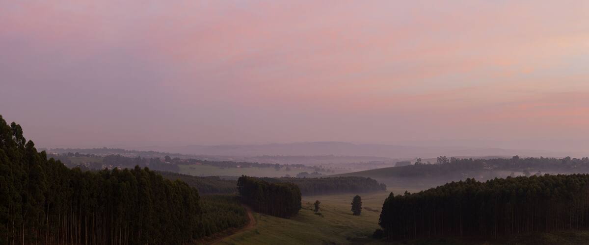 A misty landscape with dense forests and rolling hills.