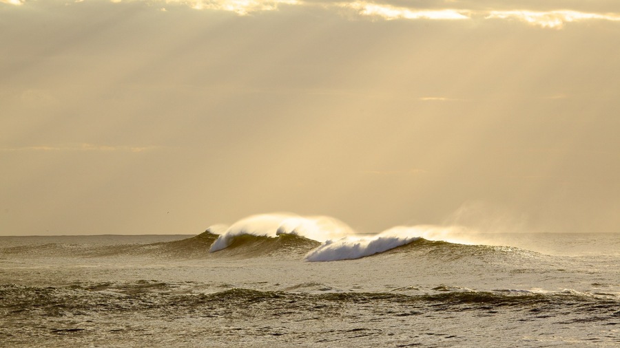 East London showing surf and general coastal views