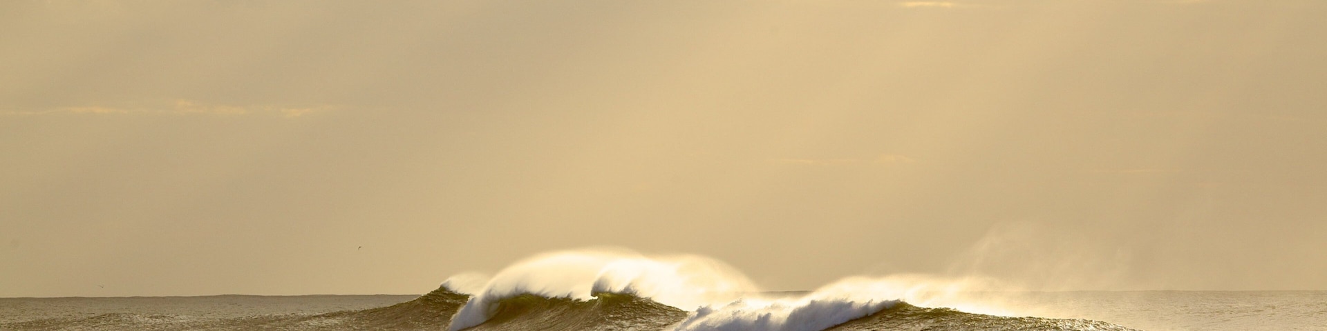 East London mostrando paisagens litorâneas e surfe